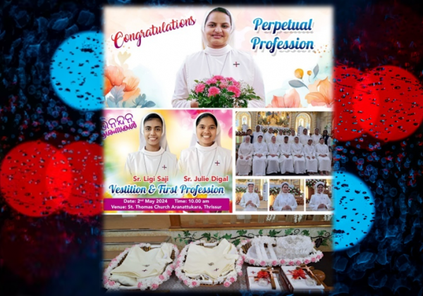 Perpetual Profession and First Profession